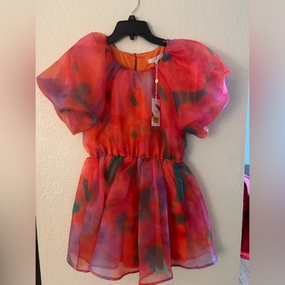 C&V printed organza puffy dress NWT